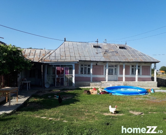 Case, Copacesti, Copacesti