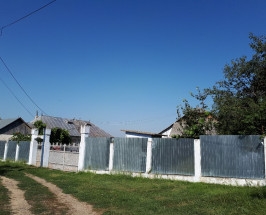 Case, Copacesti, Copacesti
