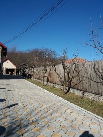 Vile, Baile Olanesti, Baile Olanesti