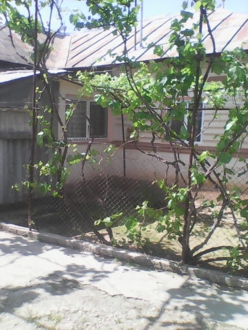 Case, Slobozia, Slobozia