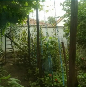 Case, Militari, Orsova
