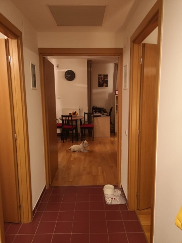 Apartament 2 camere, Bucureşti, Delta Vacaresti Asmita Gardens