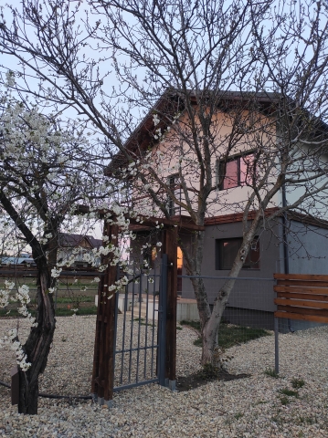 Case, Gulia, Bucuresti Nord-Vest