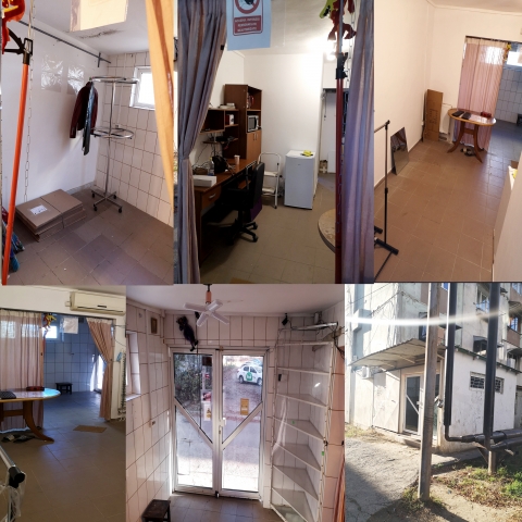 Transformate din apartamente, Bularga, Mihail Sturza