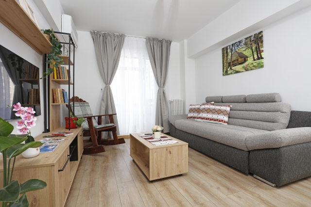 Apartamente 2 camere, Piata Natiunile Unite, Calea Victoriei