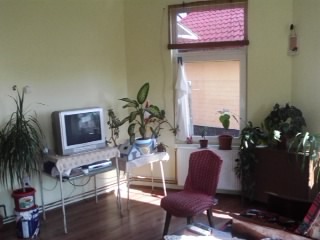 Case, Chisoda, Timisoara