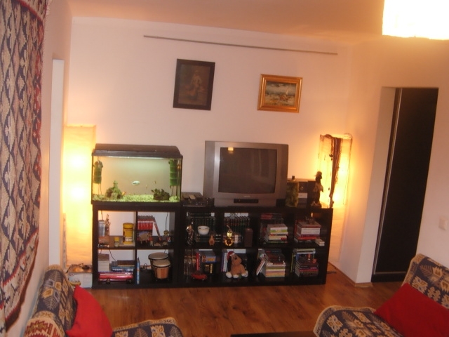 Apartamente 3 camere, Tineretului, Parcul Tineretului