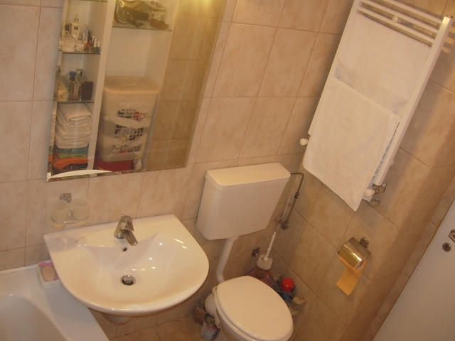 Apartamente 3 camere, Tineretului, Parcul Tineretului