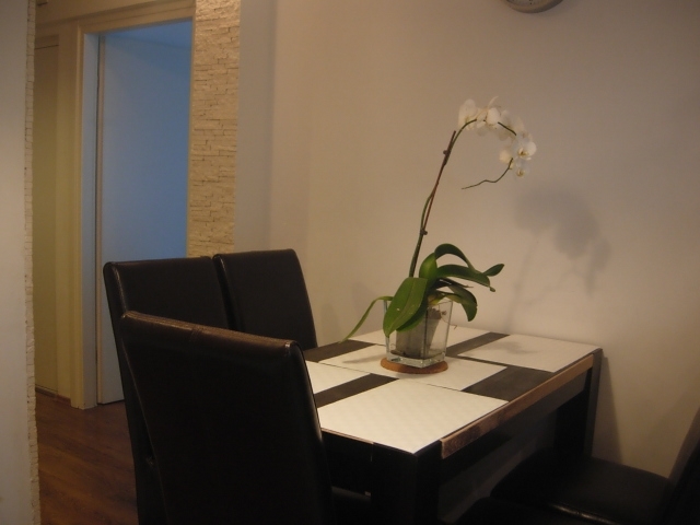 Apartamente 3 camere, Tineretului, Parcul Tineretului
