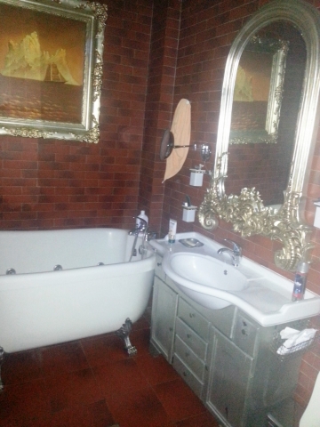 Vile, Cotroceni, Palatul Cotroceni