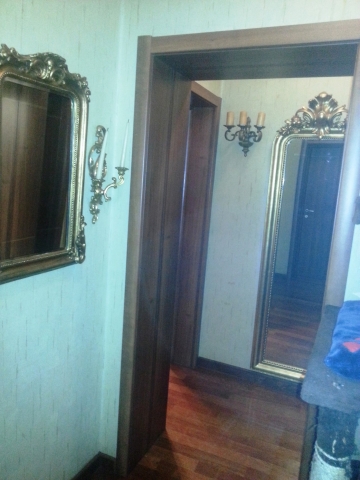 Vile, Cotroceni, Palatul Cotroceni